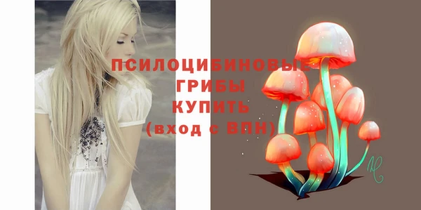 ECSTASY Алзамай