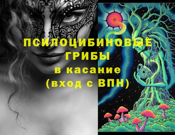соль ск Абаза