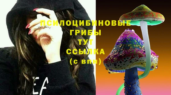 молекула духа Абдулино