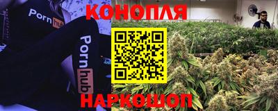 гашишное масло Ачхой-Мартан