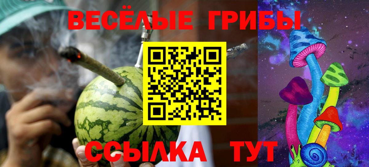 Стерлитамак  Псилоцибиновые грибы мухоморы  Вход с VPN  Псилоцибиновые грибы Magic Shrooms 
