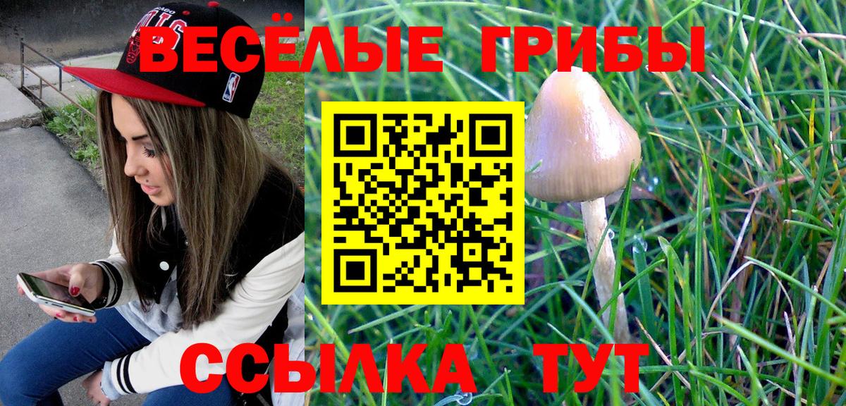 Псилоцибиновые грибы Cubensis Стерлитамак