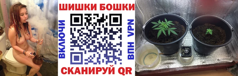 где купить наркоту блэк спрут сайт Канабис тримм Стерлитамак